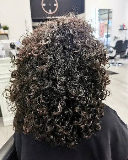 modelo de pelo afro